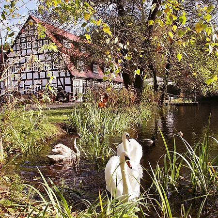 Hotel Springbach-Muehle Belzig Esterno foto