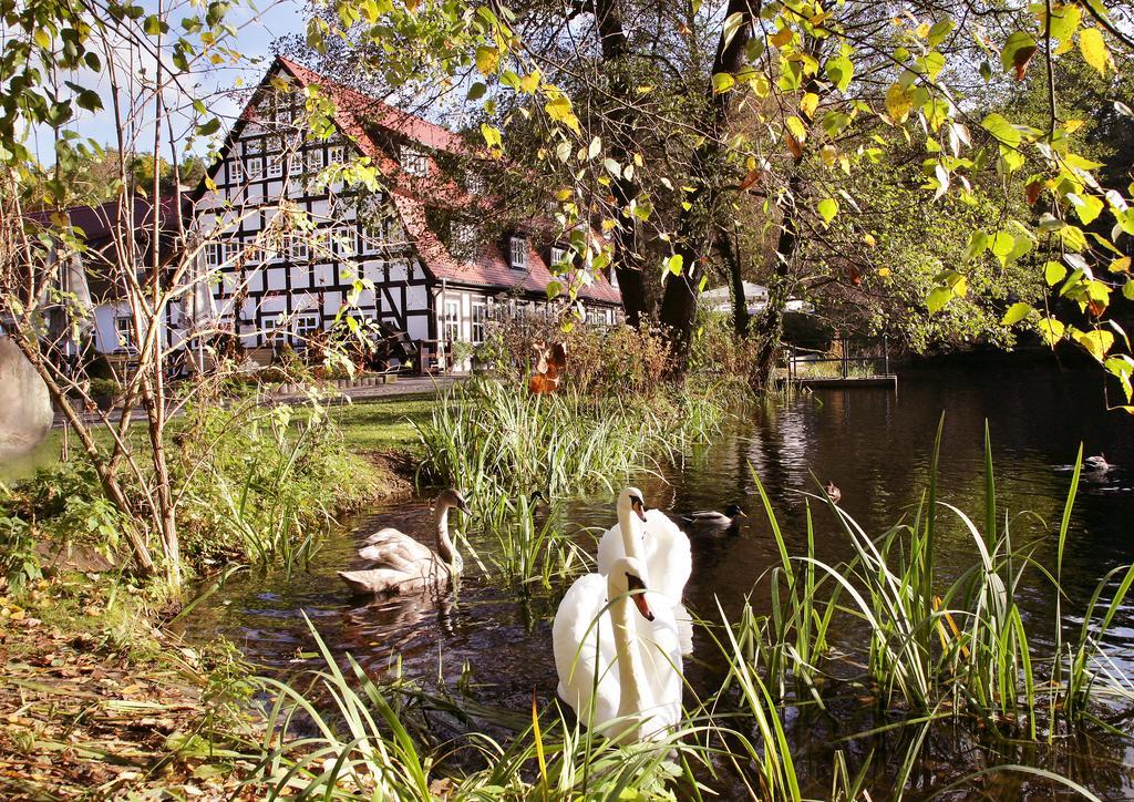 Hotel Springbach-Muehle Belzig Esterno foto